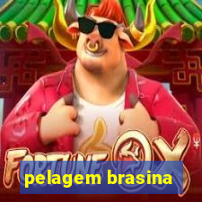 pelagem brasina